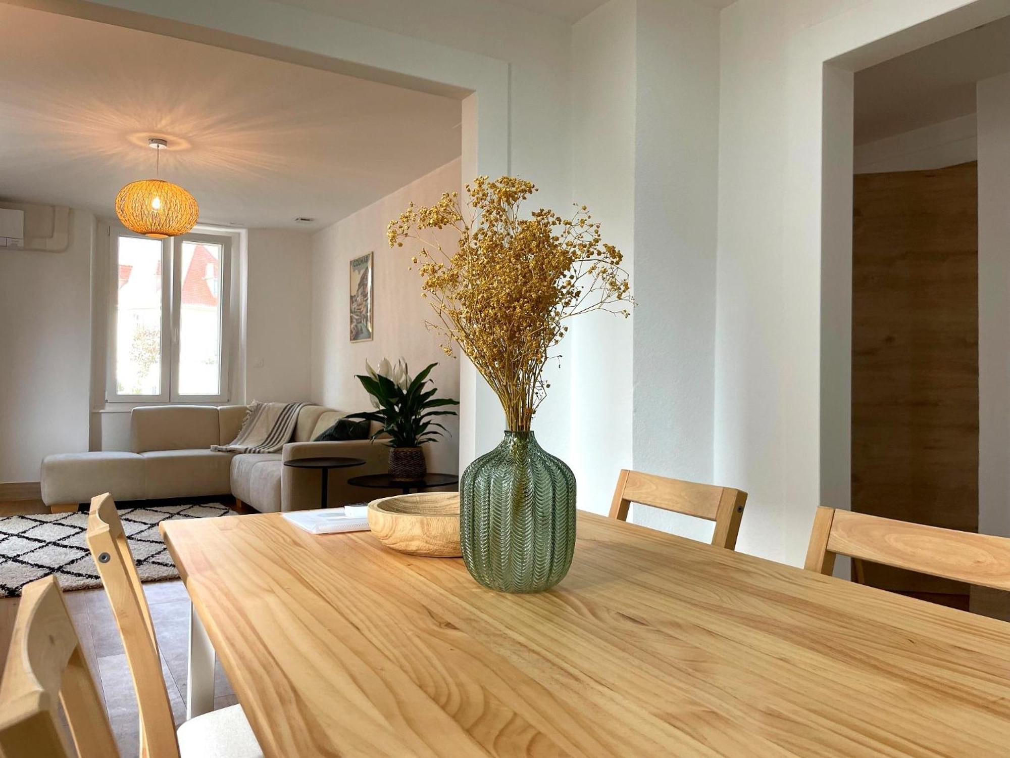 Appartement Moderne Et Spacieux, A 10 Min De La Gare Colmar